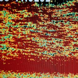 シースナイパー海龍 釣果