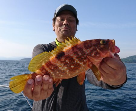 遊漁船 家入 釣果