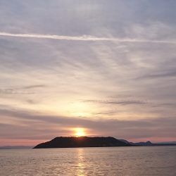 遊漁船 家入 釣果