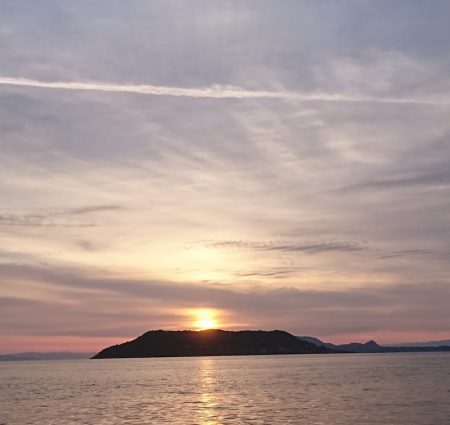 遊漁船 家入 釣果