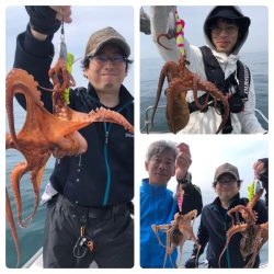 ビッグファイター 釣果