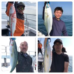 ビッグファイター 釣果