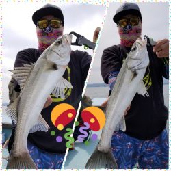 アマテラス 釣果