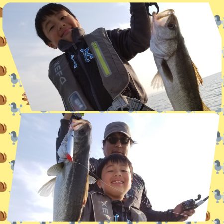 アマテラス 釣果