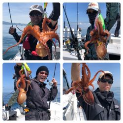 ビッグファイター 釣果