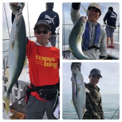 ビッグファイター 釣果