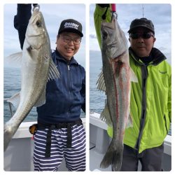 ビッグファイター 釣果