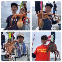 ビッグファイター 釣果