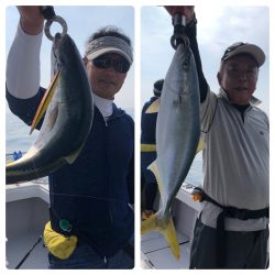 ビッグファイター 釣果