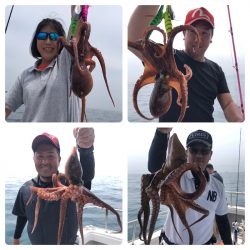 ビッグファイター 釣果