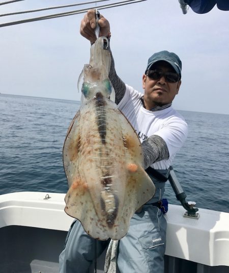 South Current 釣果