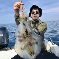 South Current 釣果