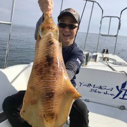 South Current 釣果