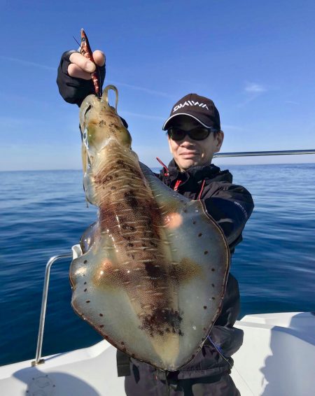 South Current 釣果