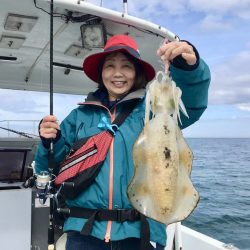 South Current 釣果