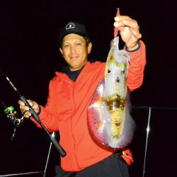 South Current 釣果