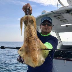 South Current 釣果