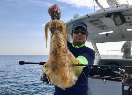 South Current 釣果