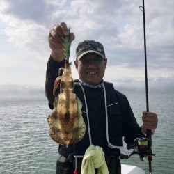 South Current 釣果