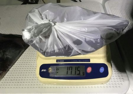 South Current 釣果