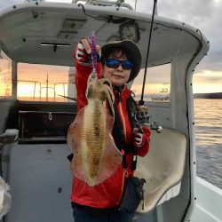 South Current 釣果