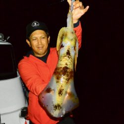 South Current 釣果