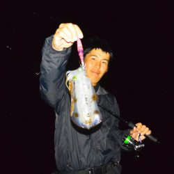 South Current 釣果