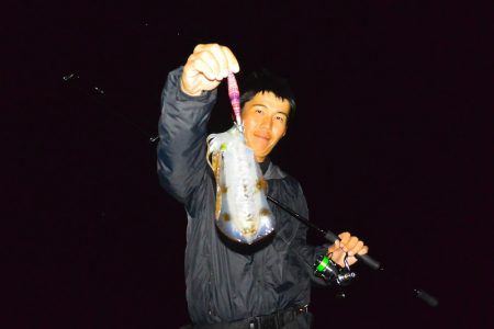 South Current 釣果