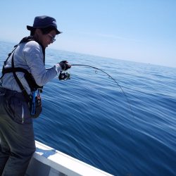 ひな丸 釣果