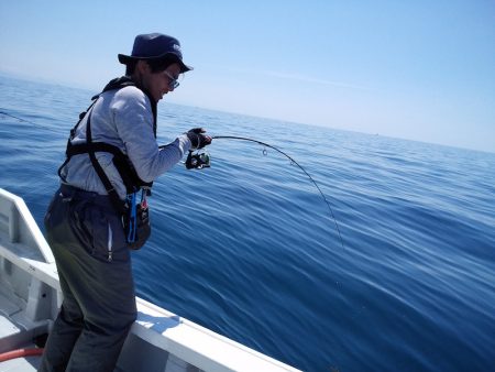 ひな丸 釣果