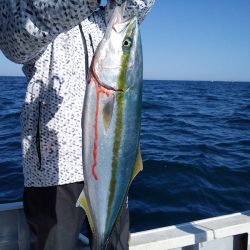 ひな丸 釣果
