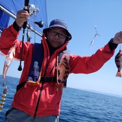 ひな丸 釣果
