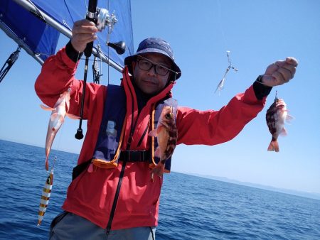 ひな丸 釣果