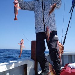 ひな丸 釣果