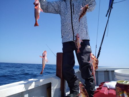 ひな丸 釣果