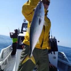 ひな丸 釣果