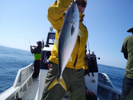 ひな丸 釣果