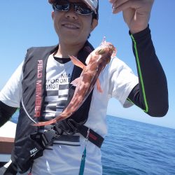 ひな丸 釣果