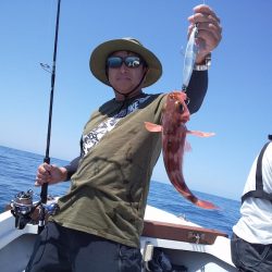 ひな丸 釣果