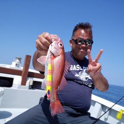 ひな丸 釣果