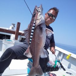 ひな丸 釣果