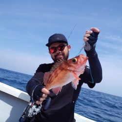 ひな丸 釣果