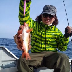 ひな丸 釣果