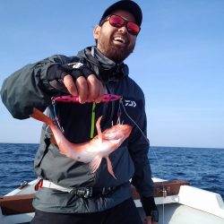 ひな丸 釣果