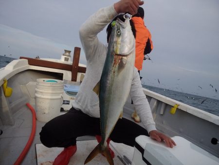 ひな丸 釣果
