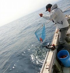 第二清洋丸 釣果