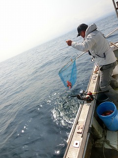 第二清洋丸 釣果