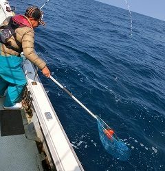 第二清洋丸 釣果