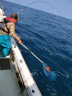 第二清洋丸 釣果