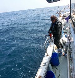 第二清洋丸 釣果